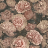 A.S. Creation Vliestapete 374022 - Blumentapete Rosen im Vintage Look, rosa, rot, schwarz